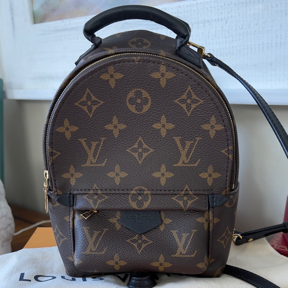 Authentic Louis Vuitton Palm Springs mini - new condition M44873